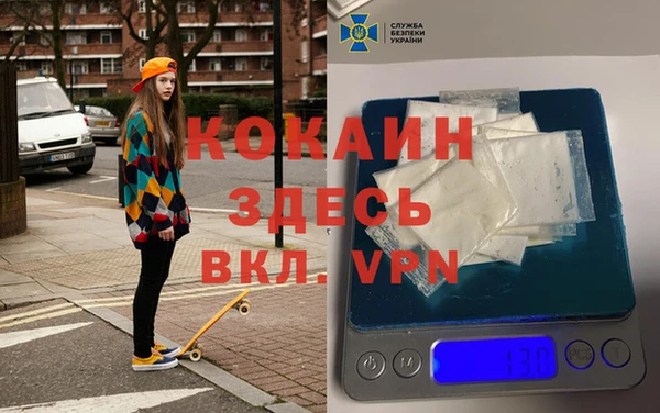 метадон Алексин