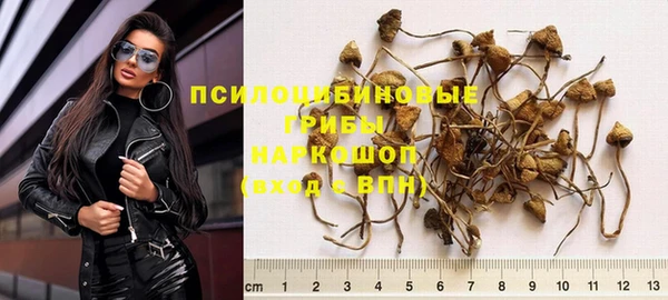 прущая мука Алзамай