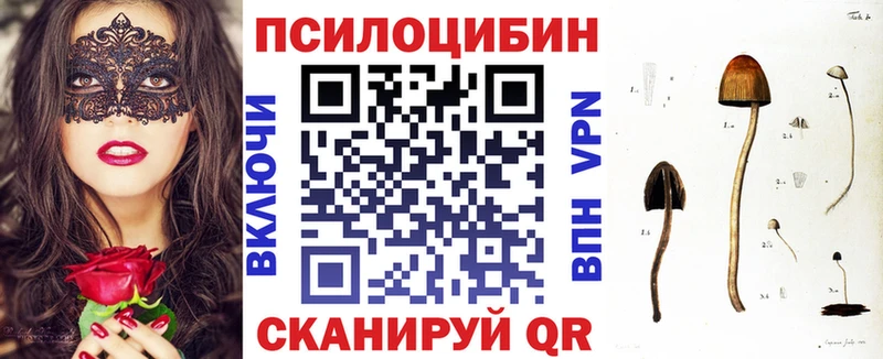 OMG вход  площадка как зайти  Псилоцибиновые грибы MAGIC MUSHROOMS  Тетюши 